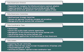 Organizational Chart Of The Data Governance Team Source