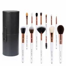 professional brush set with travel case