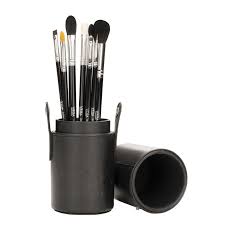 vega professional makeup brush set