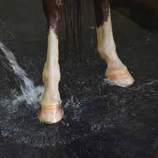 washbay horse mats ribbed top stall