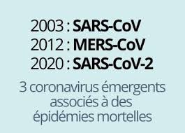 coronavirus et covid 19 inserm la