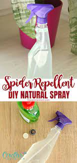 how to make a diy spider repellent at
