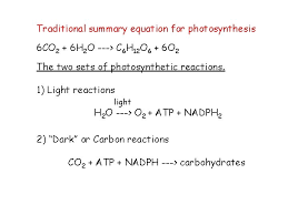 light energy into chemical energy