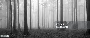 iStock gambar png