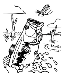 Color online with this game to color music coloring pages and you will be able to share and to create your own gallery online. Bass Fish Catching Dragonfly Coloring Pages Best Place To Color Coloring Pages Fish Coloring Page Coloring Pages Inspirational