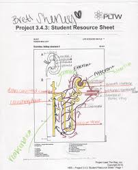 Color the bowman's capsule brown , leave the glomerulus white, you should have already colored the arteries inside it red. Kidney Coloring Worksheet Answers Template Library