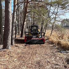 forestry mulching services of michigan