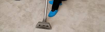 wool carpet cleaning