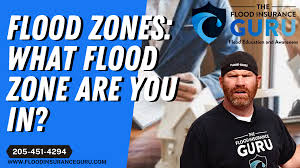 find my flood zone