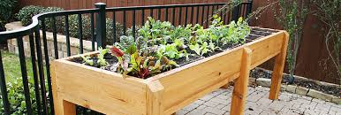 small space vegetable gardening tips