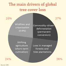 Global Forest Loss In 2018 Equal To The Size Of Belgium