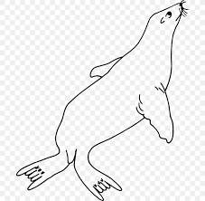 Check spelling or type a new query. Sea Lion Coloring Book Line Art Clip Art Png 692x800px Sea Lion Animal Figure Aquatic Animal
