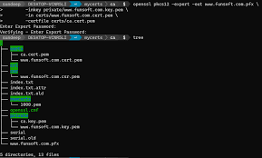 self signed certificates using openssl