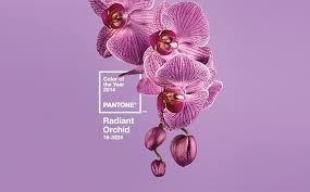 Fall Spring Color Trends Pantone Shopping Guide We Are