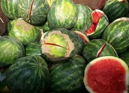 عرب فايف | حقيقة انتشار البطيخ المسرطن بالأسواق.. علامات تدل أن الفاكهة  محقونة