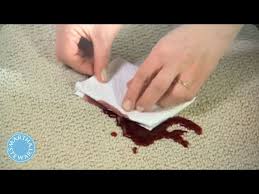 how to remove any carpet stain martha