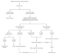 Evaluating Proteinuria In Children American Family Physician