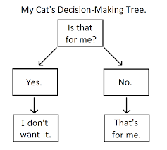 Cat Decision Making Tree