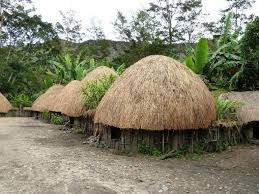 Banyak wisatawan yang berkunjung ke papua baik untuk studi maupun sekedar liburan. Rumah Adat Papua Ciri Khas Bentuk Struktur Dan Fungsinya
