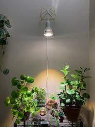 17 Best Grow Lights For Plants Ideas