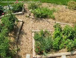 Vegetable Garden Mulch