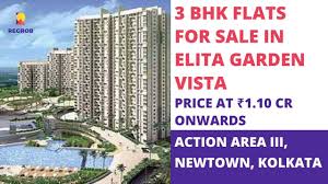 3 bhk flats in action area iii