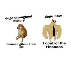 See more ideas about doge, doge meme, funny. The Best Dogecoin Memes Memedroid