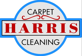 top 10 best carpet cleaning in gahanna