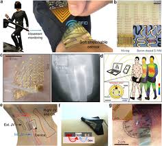 Wearable And Implantable Electronics