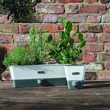 This is the second self watering herb planter and i must say this one exceeded my expectations. Cole Mason Self Watering Herb Keeper At Mighty Ape Nz