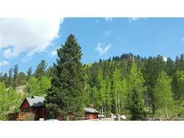 There's no better place to fall in love with camping. 11009 Gold Camp Rd Cripple Creek Co 80813 Realtor Com