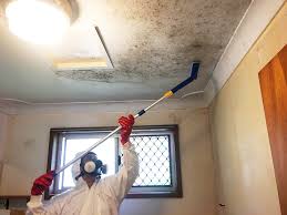 Mould Removal Newcastle Expert