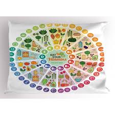 Vegan Pillow Sham Vitamin Vegan Food Sources And Functions Rainbow Wheel Chart With Icons Healthcare Decorative Standard Queen Size Printed