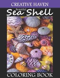 100% free coloring page of a sea shell. Creative Haven Beautiful Sea Shell Coloring Book Creative Haven Sea Shells Coloring Book For Adults Stress Relieving Designs Creative Haven Beautiful Coloring Book Sea Shells Designs By Coloring Hub Print Gallery