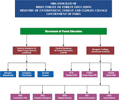 Organisation Chart Welcome To Directorate Of Forest