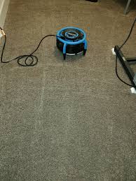 best carpet cleaner absolute first