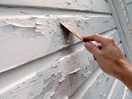 Painting A Home S Exterior