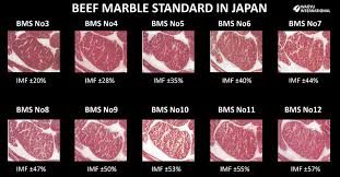History Of Wagyu Beef Cattle Breed In Japan