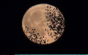 Full Moon September 2021 Meaning - Harvest Moon 2022: when it peaks during September in the UK and other full  moon dates