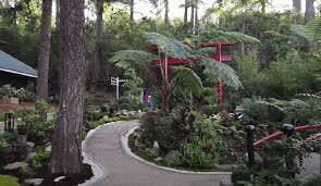 baguio botanical garden complete guide