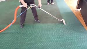 buds carpet cleaning adelaide