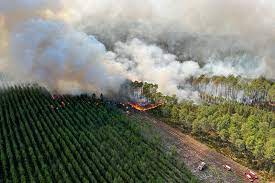 Environnement. Près de 2 800 hectares brûlés, 6 000 personnes évacuées...  le point sur les incendies en Gironde