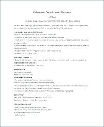 Resume Examples For Volunteer Work Bezholesterol