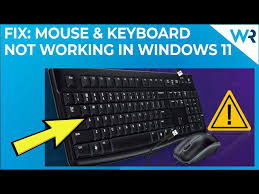fix mouse and keyboard not working in