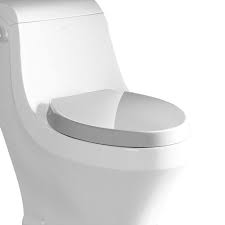 Soft Closing Toilet Seat For Tb133