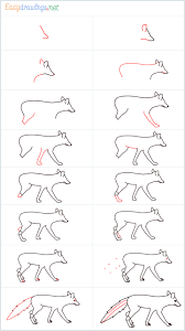 how to draw a wolf step by step 16