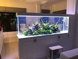 55 Wondrous Aquarium Design Ideas for Your Extraordinary Home Decoration -  Talkdecor | Aquarium design, Fish tank, Aquarium gambar png