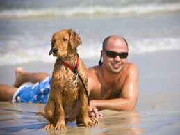 a dog lover s guide to carolina beach