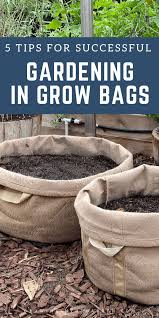 Grow Bags Organic Gardening Tips
