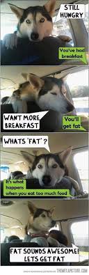 Next article awesome fat dog meme. Fat Dog Quotes Quotesgram